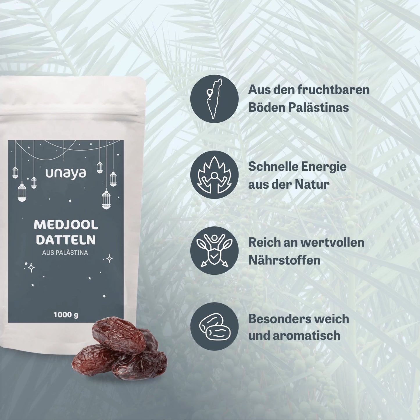 Medjool-Datteln (Palästina)