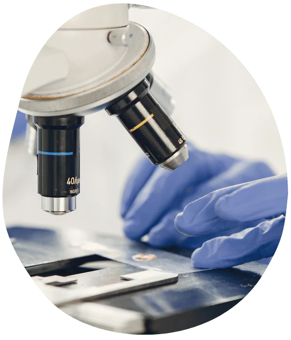 WISSENSCHAFT