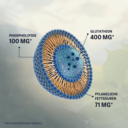 Liposomales Glutathion