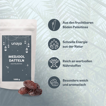 Medjool-Datteln (Palästina)