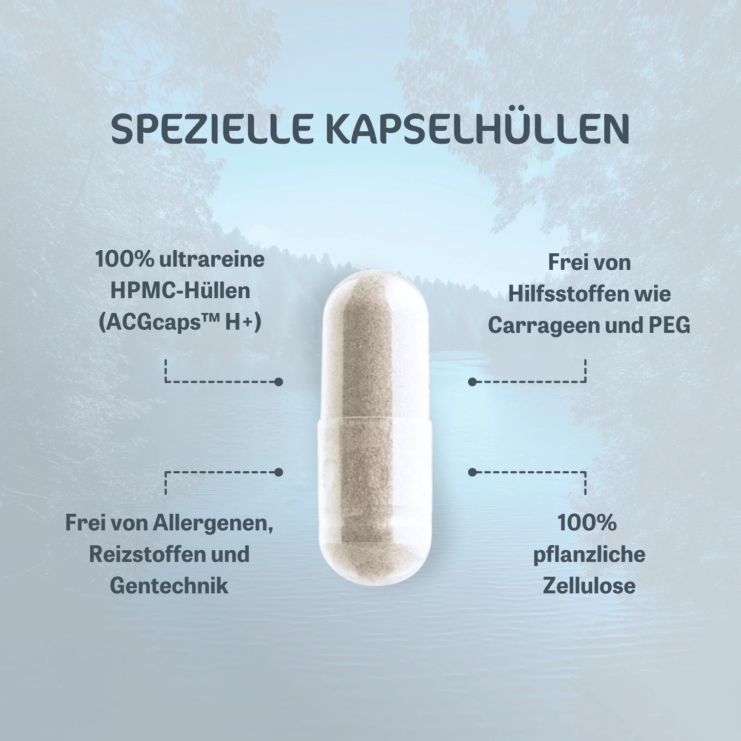 OptiMSM® Kapseln