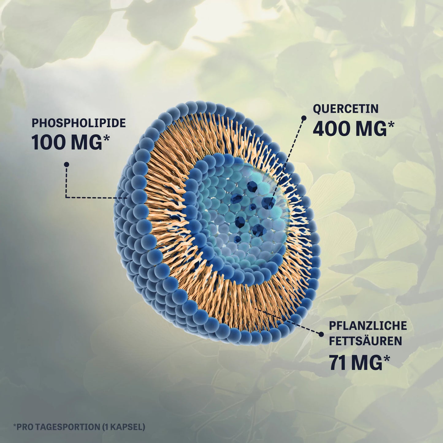 Liposomales Quercetin