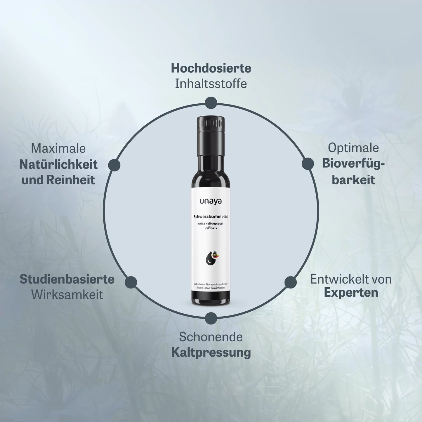 Schwarzkümmelöl, gefiltert (extra stark)
