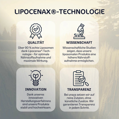 Liposomaler Vitamin B Komplex