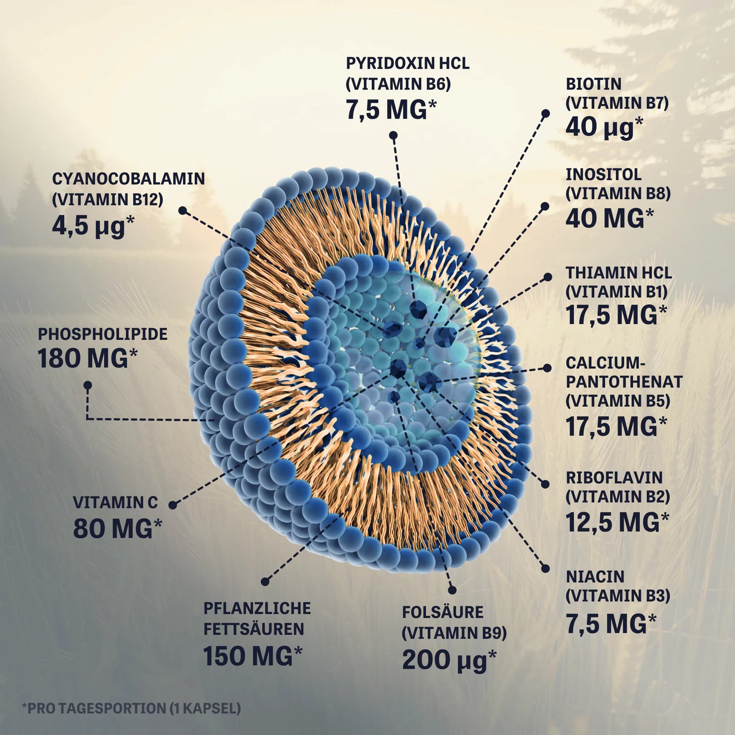 Liposomaler Vitamin B Komplex