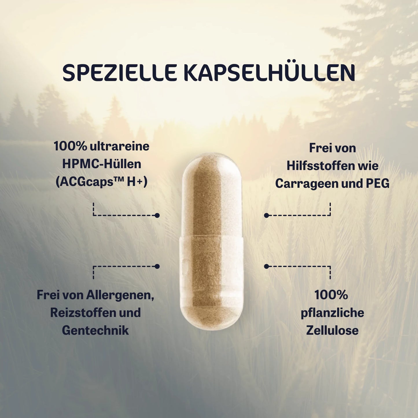 Liposomaler Vitamin B Komplex