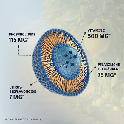 Liposomales Vitamin C