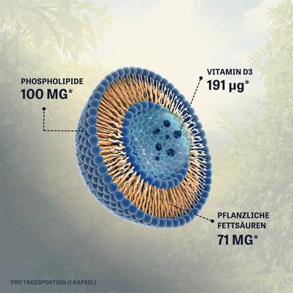 Liposomales Vitamin D3