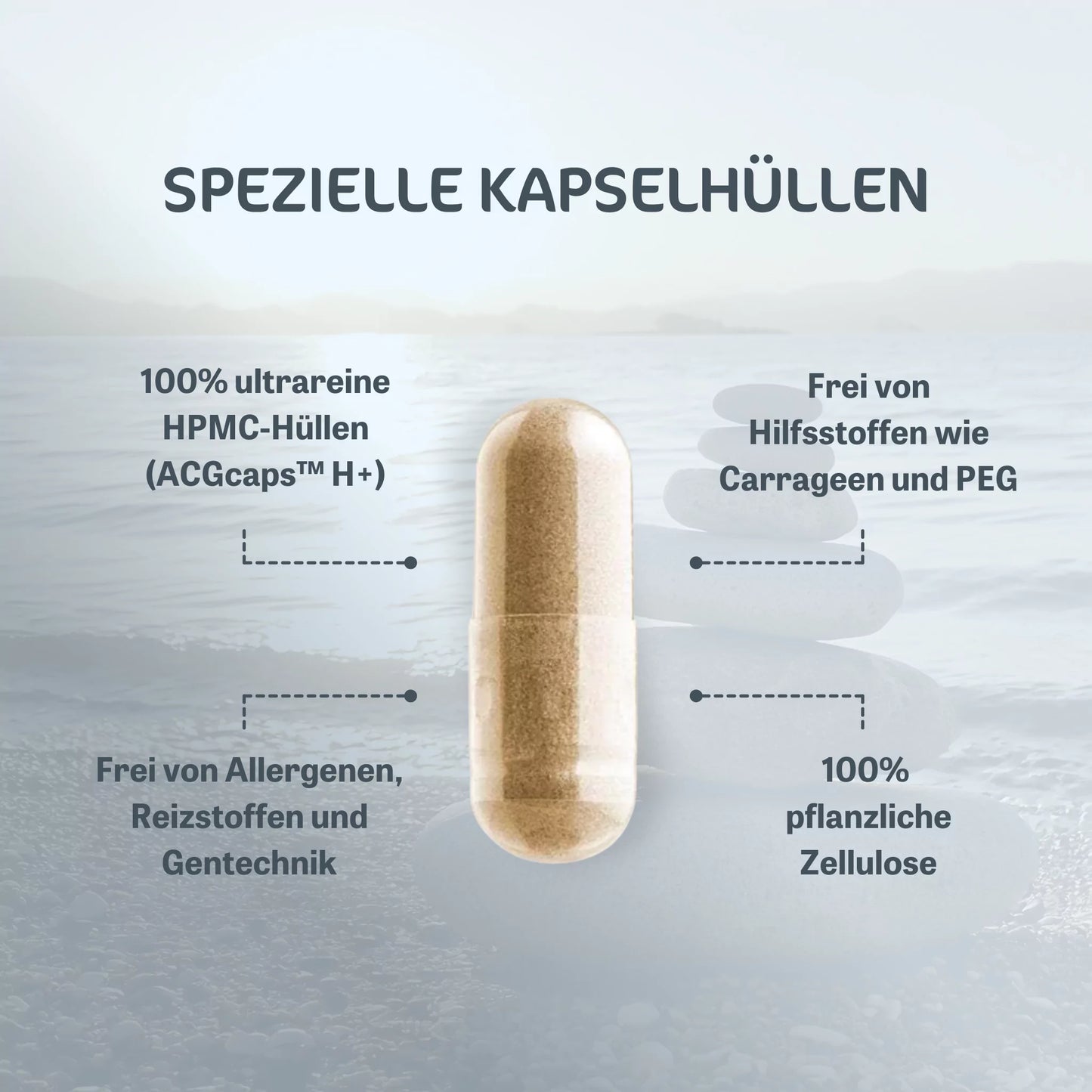 probio-aktiv® Kapseln